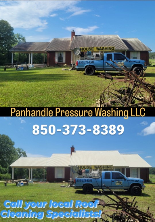 Roof Softwashing in Chipley, FL Image